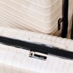 Resale The Large Check-In Luggage Cover